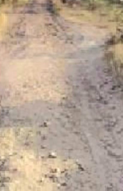 गंगाखेड- अति भीड़भाड़ वाली पाणंद रोड यह फोटो गादीरस्ते, पाणंद रोड, शिवरास्ते, अति भीड़भाड़ वाली सड़क की श्रेणी में है