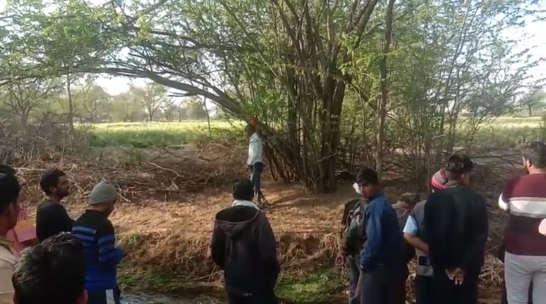 अजमेर जिले के ककलाना गांव में मिला पेड़ पर एक अधेड़ का शव अजमेर जिले के ककलाना गांव में मिला पेड़ पर एक अधेड़ का शव
