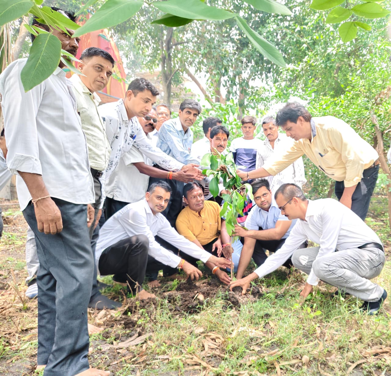 जिला पत्रकार संघ जिला कार्यकारिणी का स्नेह मिलन समारोह संपन्न जिले भर से आये पत्रकारों ने किया वृक्षारोपण।