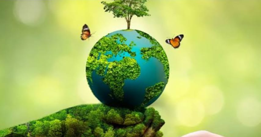 एक पेड़, मां के नाम: वृक्षारोपण अभियान को सफल बनाने के लिए मेडिकल कॉलेज दतिया का अनुपम प्रयोग।