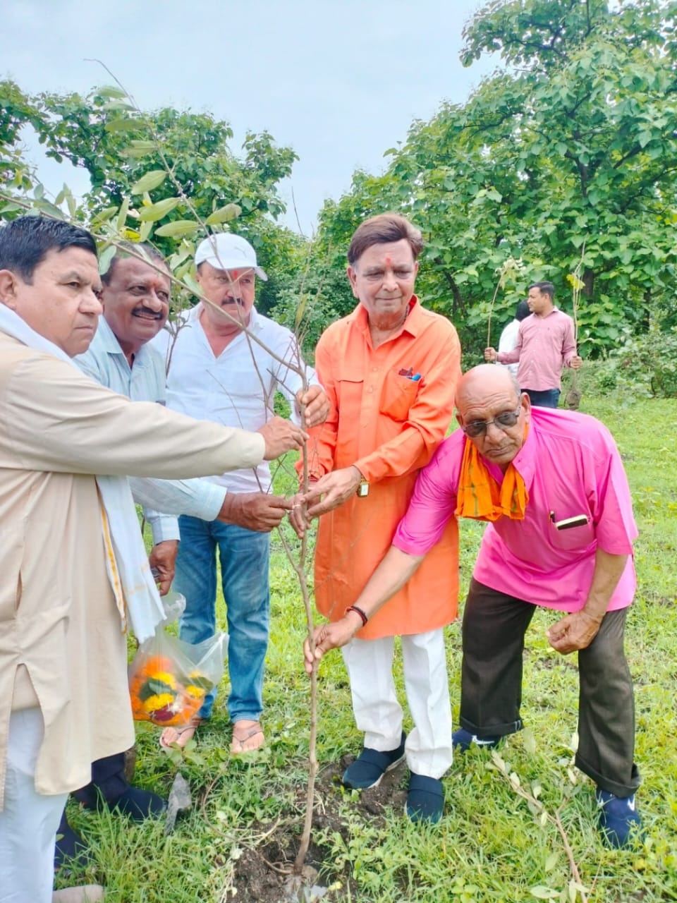 पर्यावरण प्रेमी लोकतंत्र सेनानियों ने लगाए सैकड़ों पौधे।